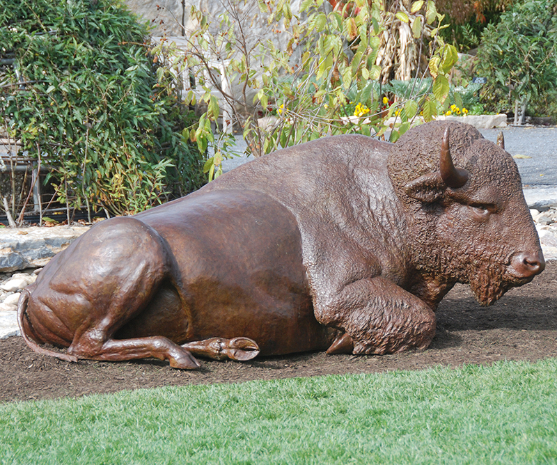 bison-penn-state-arboretum-buffalo-bronze-sculpture